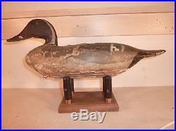 16.5 Pintail Drake by Charles Schoenheider, Sr. (1854-1944) IN FLAKED ORIGINAL