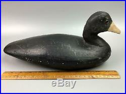 1930's Carved Wood Working Black Duck Decoy Glass Eyes Coot Hollow NJ