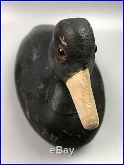 1930's Carved Wood Working Black Duck Decoy Glass Eyes Coot Hollow NJ