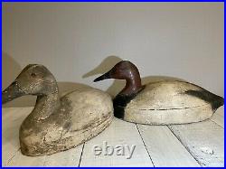 1940's Pacific Coast Canvasback Pair Vintage duck decoys by Leo Tocchini