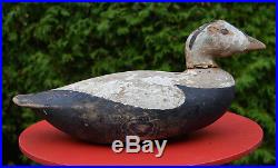 1950s Old Primitive WOOD Carved DECOY COMMON EIDER S. Aucoin Magdalen Islands Qc