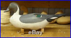 1970's Oversize Pintail Drake by Madison Mitchell of Havre De Grace Maryland