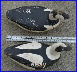 1970s OLD SQUAW DUCK Primitive WOOD Carved DECOY PAIR Magdalen Islands Qc Canada