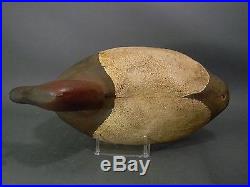 19th C. Cast Iron Sink Box Decoy Maryland- Rig Hole In Tail- Bill Detail 35 Lb