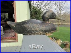 19th C Dodge Black Duck Decoy St Clair Flats Model With Curved Body Seam