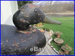 19th C Dodge Black Duck Decoy St Clair Flats Model With Curved Body Seam