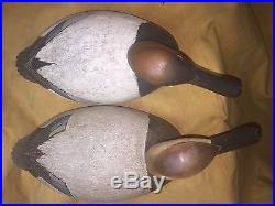 1 Matched Pair Bob White Decoys Fat Body High Head Canvasbacks Tullytown Pa Mint
