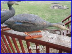 2 RARE! VTG LL BEAN Black Duck Cork Field Duck Decoys Goose Hunting Herters