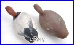 2 Vintage Madison Mitchell Drake and Hen Canvasback Duck Decoys