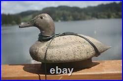4-Canvasback duck decoys, Ron Saylor, Florence, Oregon, W. Mathewson Barnegat rig