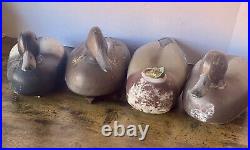 4 Vintage Duck Decoys 3 Animal Trap + 1 Very Rare Blue/Teal Feather Herter's