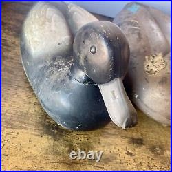 4 Vintage Duck Decoys 3 Animal Trap + 1 Very Rare Blue/Teal Feather Herter's