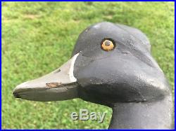 AL AUCOIN, Bourg, LA Ringneck Duck Decoy all original Rare Louisiana Bird 1976