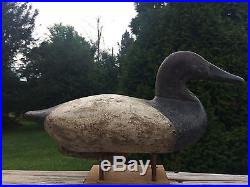 Antique Daddy Holly Canvasback Drake Decoy With Brand