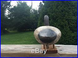 Antique Daddy Holly Canvasback Drake Decoy With Brand