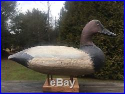 Antique Doug Jester Canvasback Drake Decoy In Ward Bros. Paint