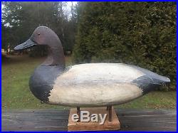 Antique Doug Jester Canvasback Drake Decoy In Ward Bros. Paint