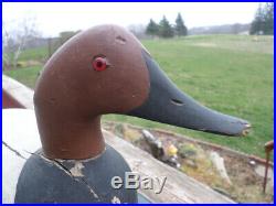 ANTIQUE VTG Wisconsin Large Canvasback duck decoy mason evans