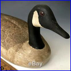 A+ Vintage Carved & Painted Glass Eye Duck Decoy Brant Canada Goose, MA, c. 1980