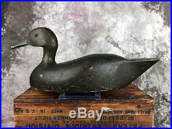 All Original MINT J. Irven Lyons Black Duck Decoy Exceptional Condition and Form