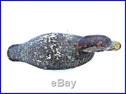 Animal Trap Co. Duck Decoy c. 1918-1938, Rare Endangered Spectacled Eider
