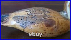 Antique 1885 Pintail Duck Decoy Signed Milred 13