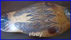 Antique 1885 Pintail Duck Decoy Signed Milred 13