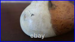 Antique 1885 Pintail Duck Decoy Signed Milred 13