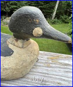 Antique Adult Male Common Goldeneye Hand Carved Decoy Signed Dr. Potter Maine