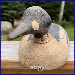Antique Adult Male Common Goldeneye Hand Carved Decoy Signed Dr. Potter Maine