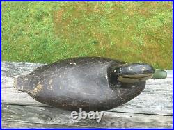 Antique Black Duck Decoy From Chincoteague, Virginia