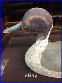 Antique C1930s Pintail Duck Working Decoy Signed Alvan Larose Bayou Lafourche La