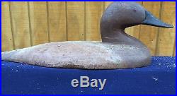 Antique Cast Iron Chesapeake Bay Canvasback Sink Box Decoy