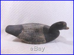 Antique Chesapeake Eastern MD Shore Broadbill Bluebill Holly Duck Decoy