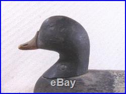 Antique Chesapeake Eastern MD Shore Broadbill Bluebill Holly Duck Decoy