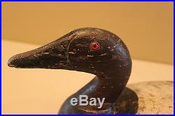 Antique Classic Wisconsin Canvasback duck decoy Old hunting folk art carved bird
