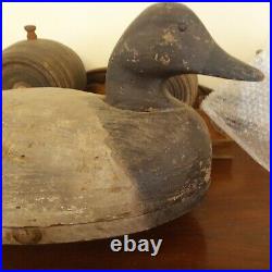 Antique Duck Decoy 17.5 long Canvasback LOOK
