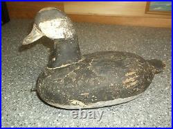 Antique Duck Decoy 1800's RUDDY DUCK 8 x 10 oldie decoy