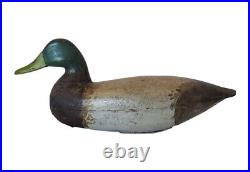 Antique Duck Decoy Charles McCoy Mallard Duck Black Duck Early 1900s Tuckerton