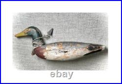 Antique Duck Decoy. Early 20th century