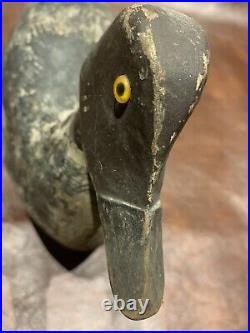 Antique Duck Decoy Original Paint Havre De Grace Maryland Chesapeake Bay Carved