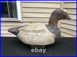 Antique Early Working Canvasback Duck Decoy with Glass Eyes & Lead Plugged