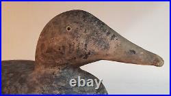 Antique Eider Hen Duck Decoy Hollow 17.5 Hand Carved Original Paint