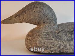 Antique Eider Hen Duck Decoy Hollow 17.5 Hand Carved Original Paint