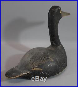 Antique Folk Art Carved, Long Neck Black Duck Working Decoy, 1st Paint, NR