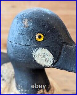 Antique GOLDENEYE Maine Duck Decoy Drake 14 Glass Eyes Old Neck Repair