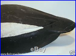 Antique Golden Eye Wooden Duck Decoy Carved Tail Feathers