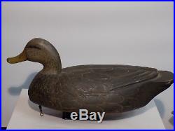 Antique Large Hand Carved Blackduck wooden Duck Decoy