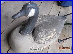 Antique Large Wood Canada Goose Decoy, Chesapeake Bay Eastern Shore, A. C. Hand