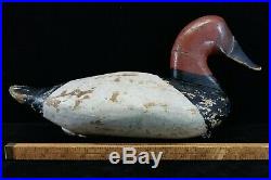 Antique Late 1800s Canvasback Drake Duck Decoy Likely Jim Currier Havre De Grace